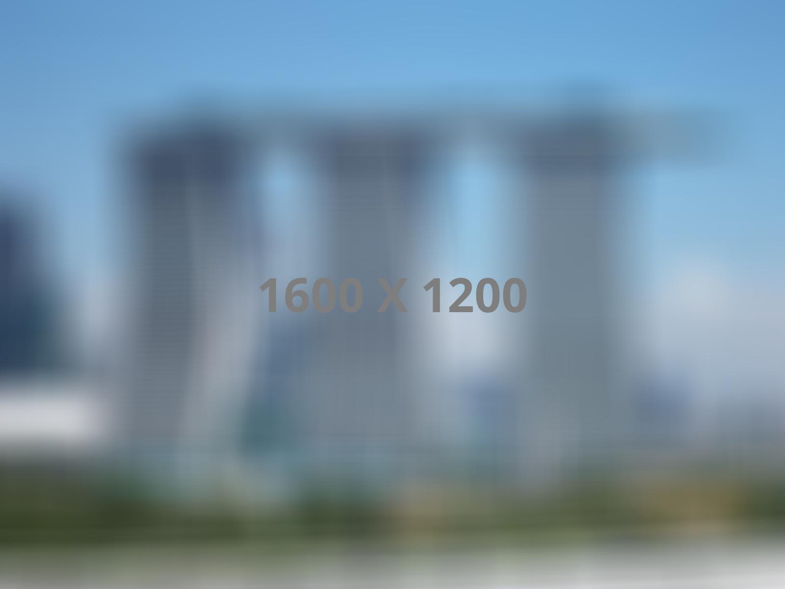 Élément de portfolio