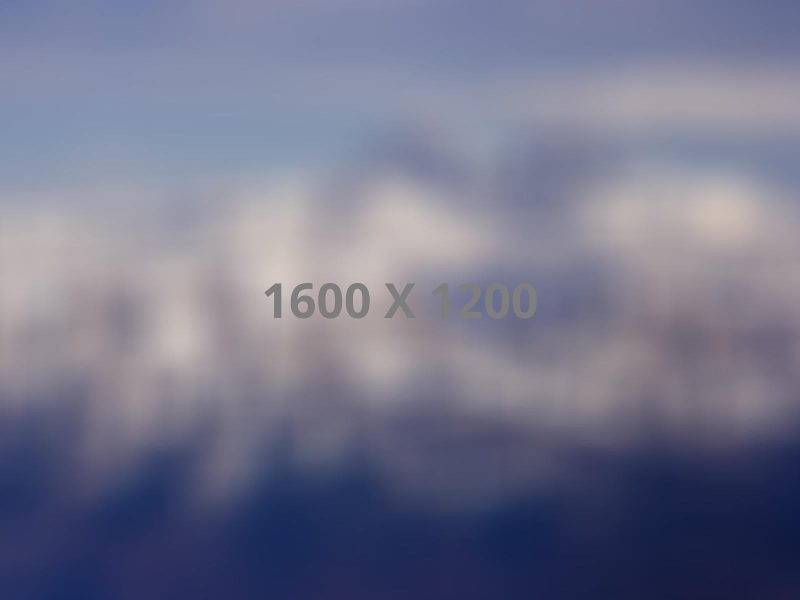 Élément de portfolio